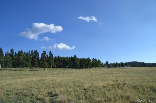 0 Robin Hood Rd Divide Divide, CO 80814 - Photo 4 of 33