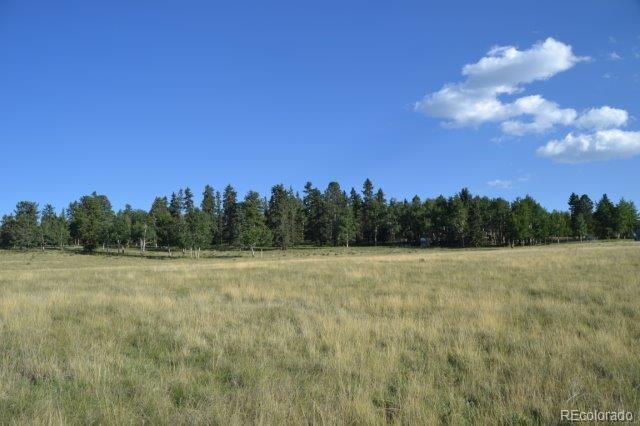 0 Robin Hood Rd Divide Divide, CO 80814 - Photo 5 of 33