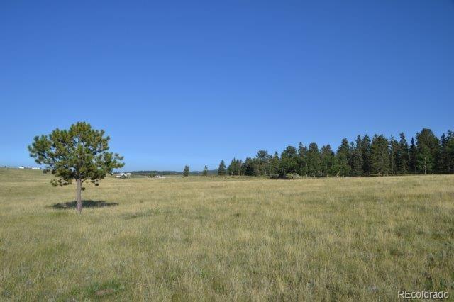 0 Robin Hood Rd Divide Divide, CO 80814 - Photo 6 of 33