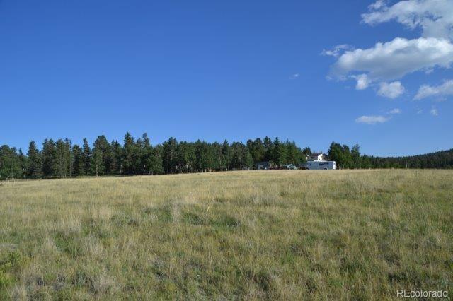 0 Robin Hood Rd Divide Divide, CO 80814 - Photo 7 of 33