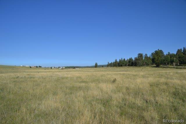 0 Robin Hood Rd Divide Divide, CO 80814 - Photo 8 of 33