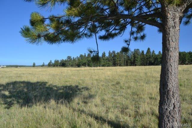 0 Robin Hood Rd Divide Divide, CO 80814 - Photo 9 of 33