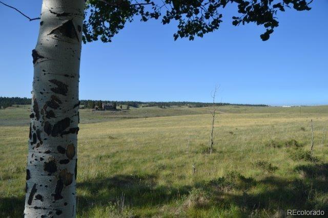 0 Robin Hood Rd Divide Divide, CO 80814 - Photo 10 of 33