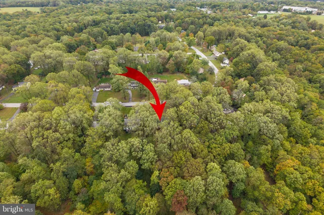 a view of a small yard