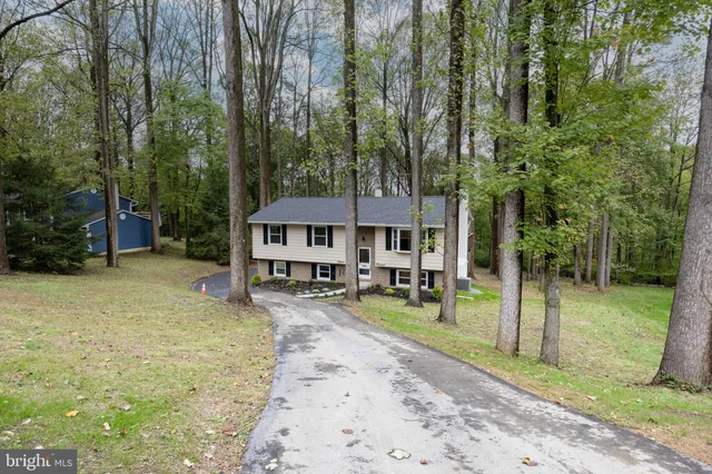 a view of a yard with large trees
