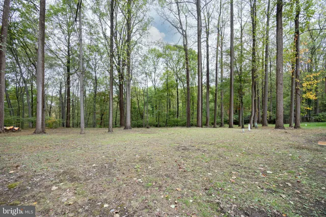 a wooden deck with trees in front of it