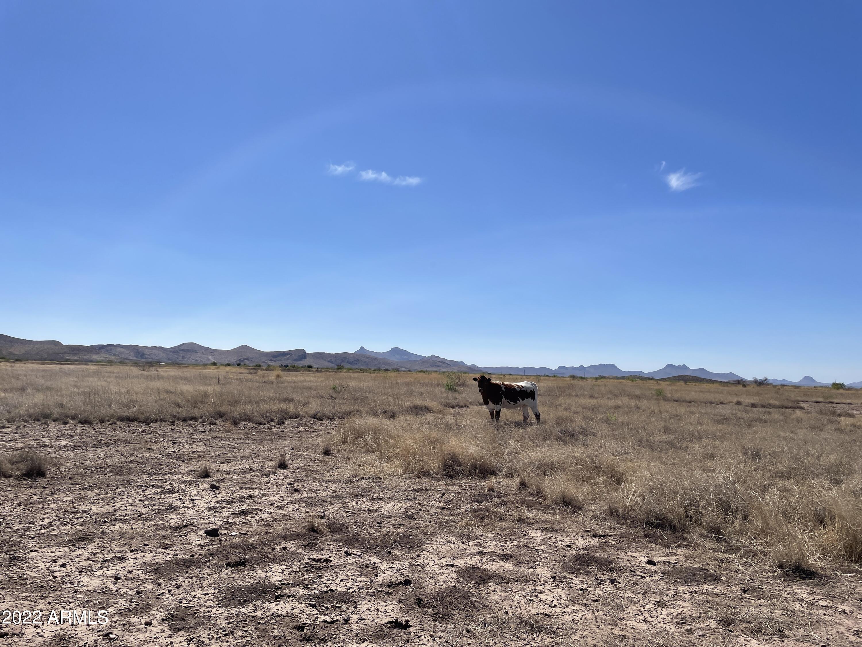 86 Double Ranch, Unit LOT 1416A Douglas, AZ 85607 - Photo 1 of 2 IMG_0833