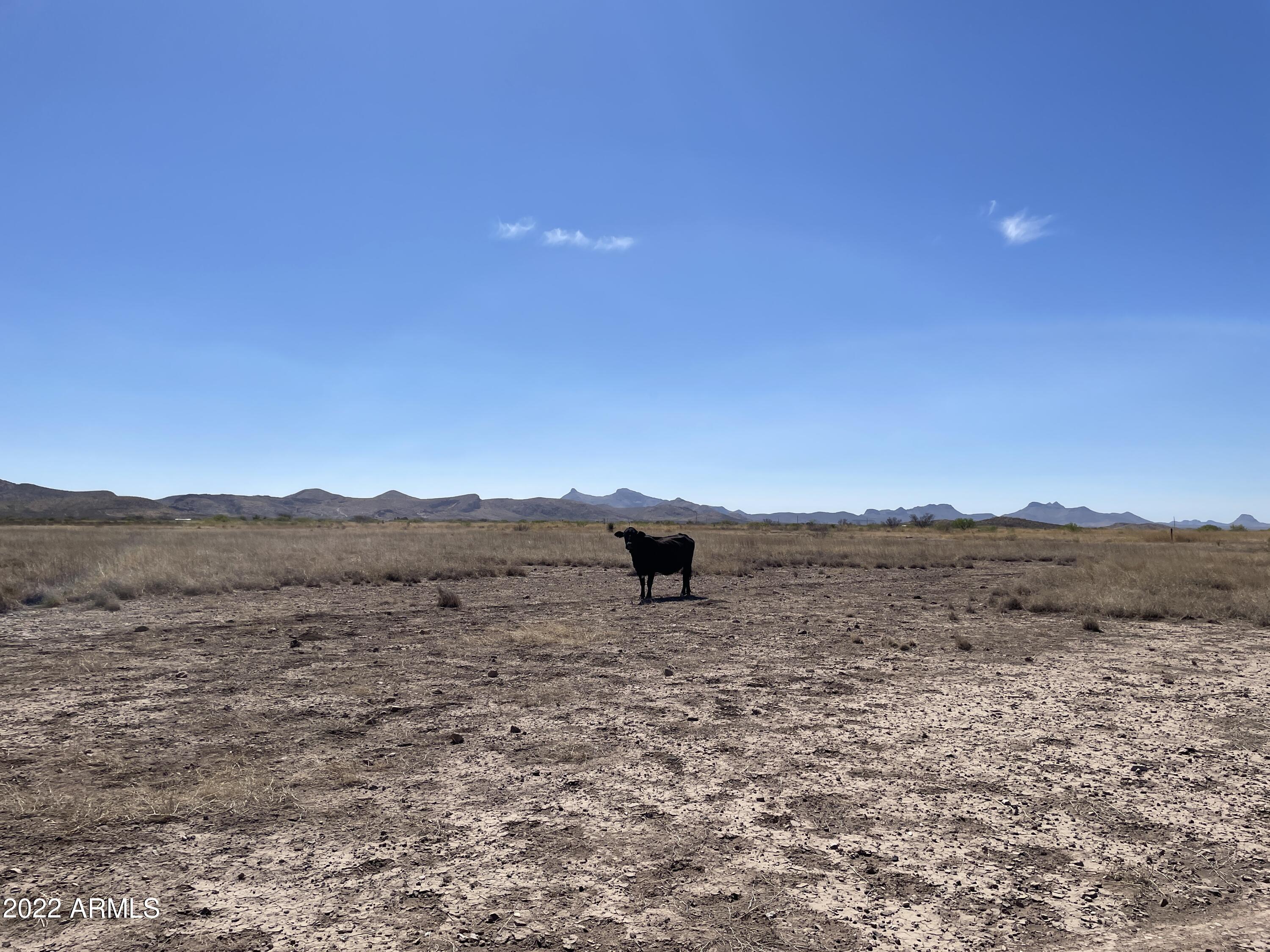 86 Double Ranch, Unit LOT 1416A Douglas, AZ 85607 - Photo 2 of 2 IMG_0834