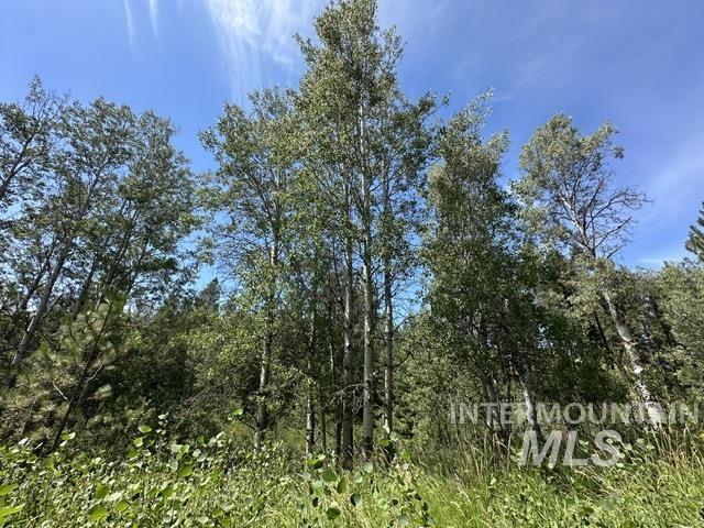 0 Parkins Road Troy, ID 83871 - Photo 18 of 33