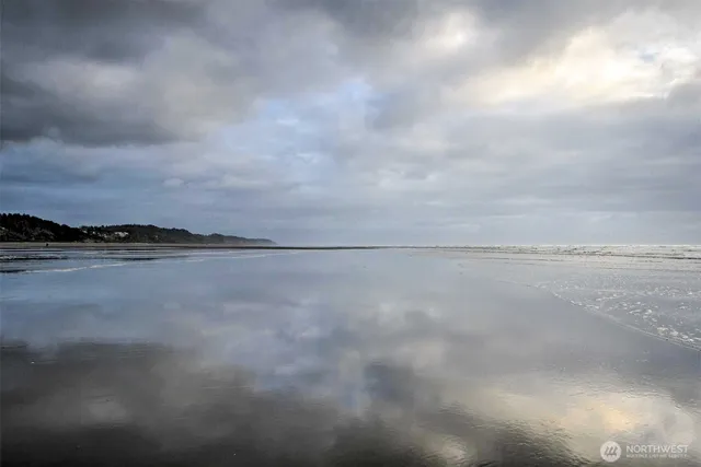 a front view of a house with a garden and plants