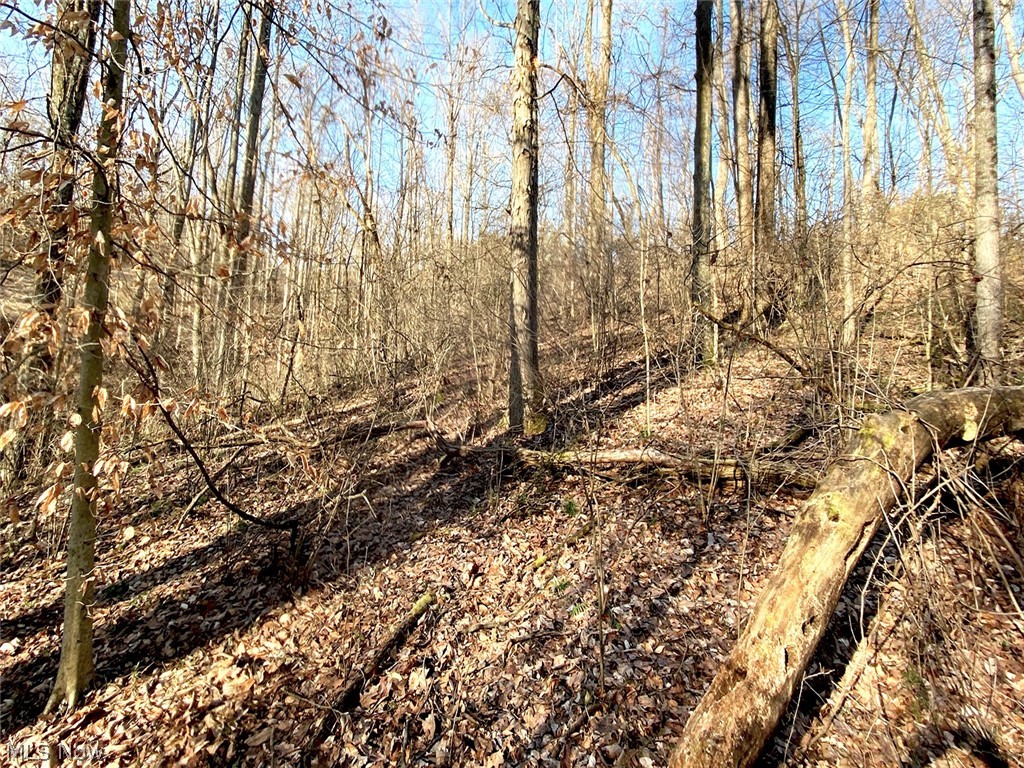0 Twp Road Dexter City, OH 45727 - Photo 16 of 26