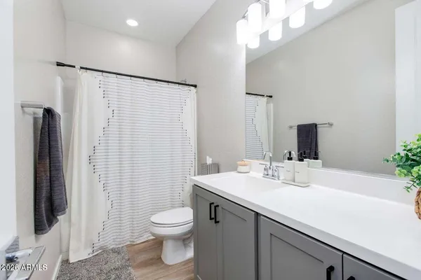 a bathroom with a sink a toilet and shower curtain
