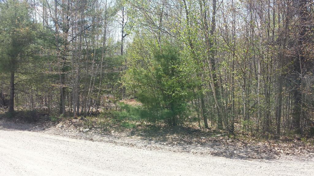 19 Sibley Road Burlington, ME 04417 - Photo 7 of 9 Photo