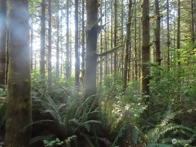 $135,000 | 4 Grays River, Grays River, WA 98621