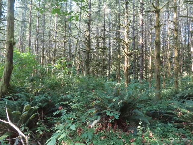 $135,000 | 4 Grays River, Grays River, WA 98621