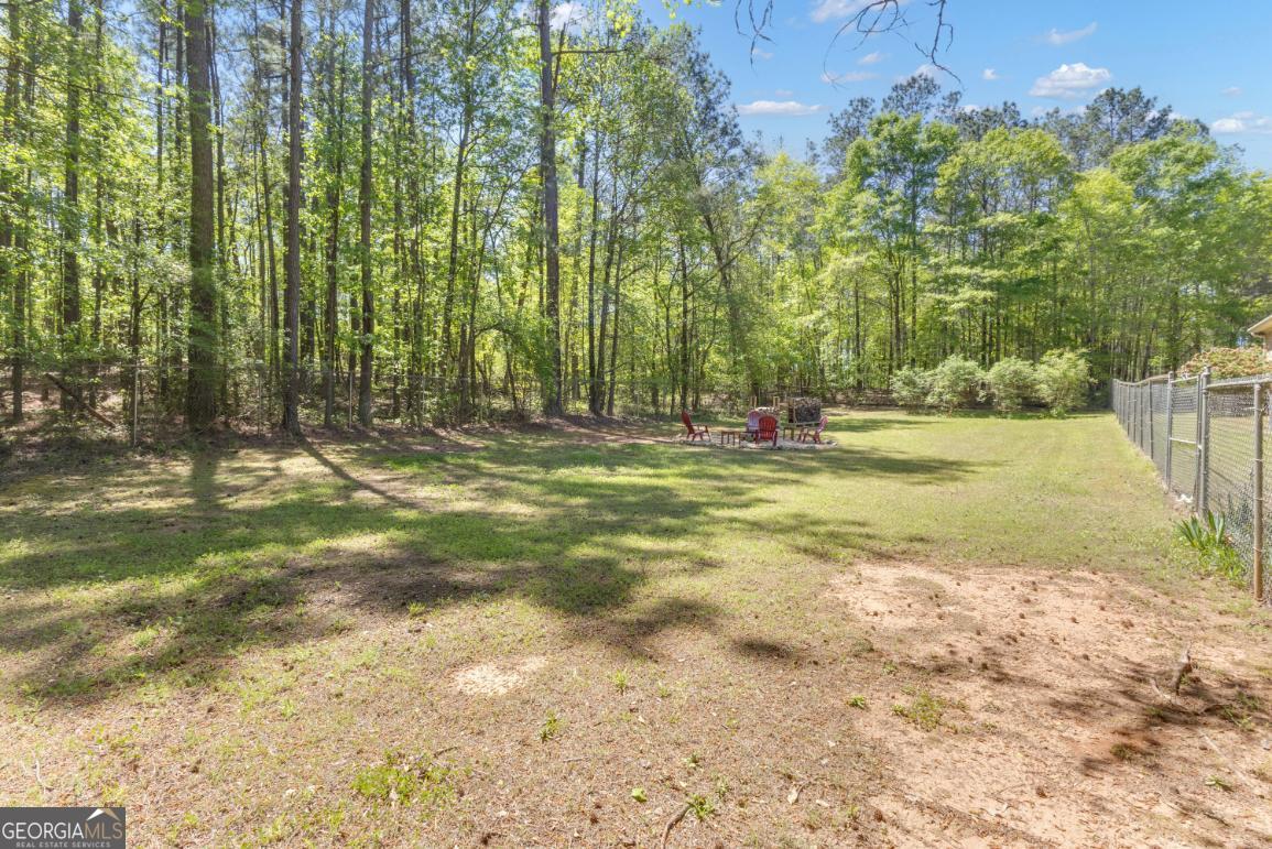 130 Sam Solomon Road Locust Grove, GA 30248 - Photo 66 of 88