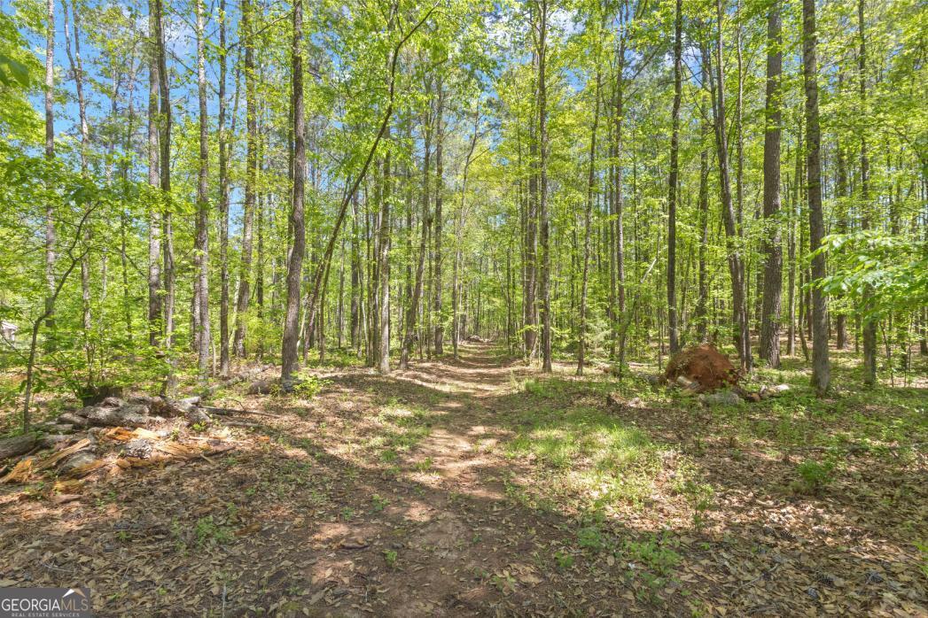 130 Sam Solomon Road Locust Grove, GA 30248 - Photo 70 of 88