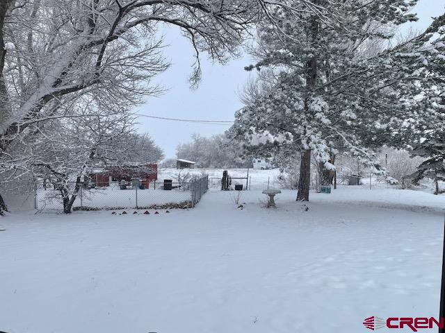 16424 Bull Mesa Road Cedaredge, CO 81413 - Photo 3 of 11 a view of a house with a snow in the yard