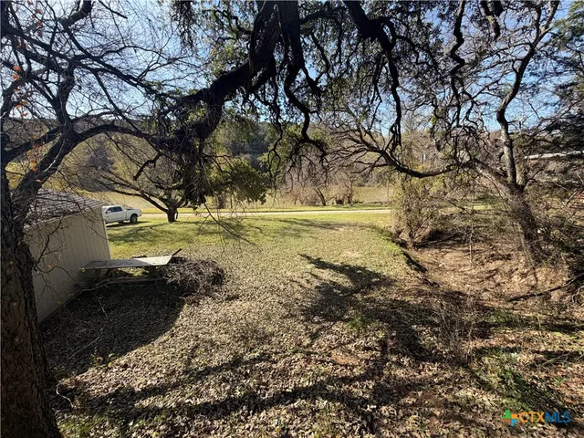 a view of a yard with plants and trees