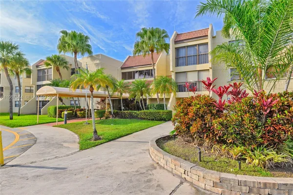 a view of a trees with a big yard