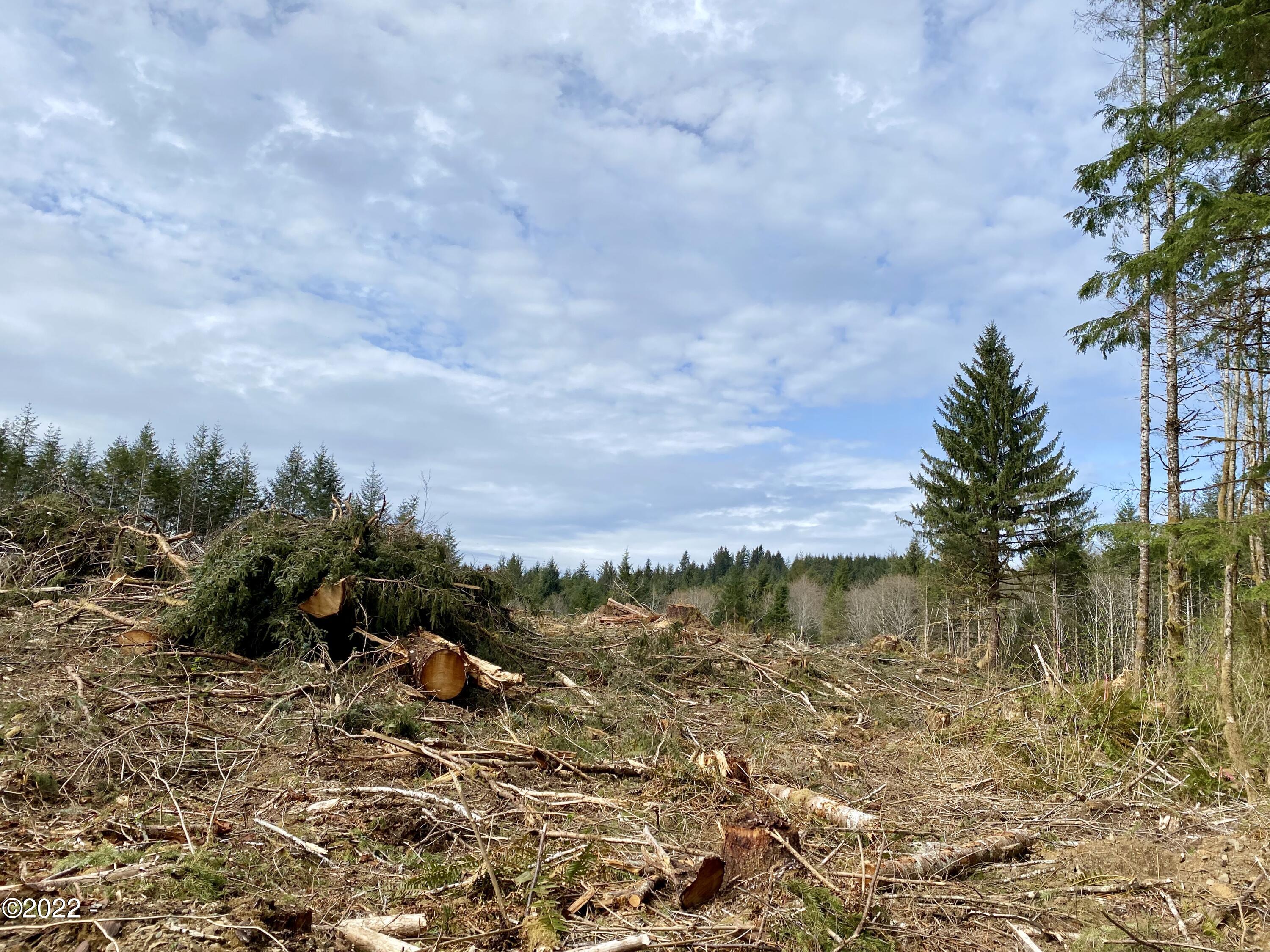Tl700-900 Huhtala Road Siletz, OR 97380 - Photo 9 of 13 TC Land