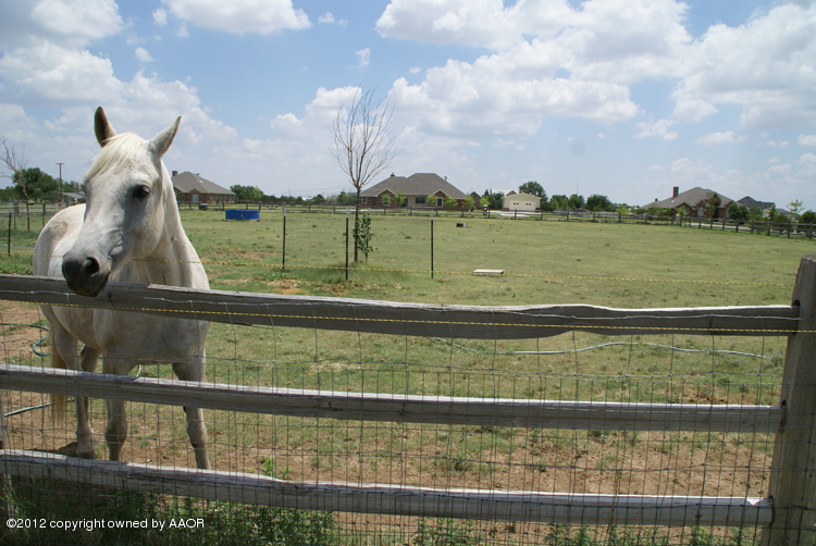 16305 Prairie Garden Road Canyon, TX 79015 - Photo 30 of 31 HORSE PEN ON ADDL. LAND FOR SALE