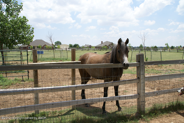 16305 Prairie Garden Road Canyon, TX 79015 - Photo 31 of 31 HORSE PEN ON ADDL LAND FOR SALE