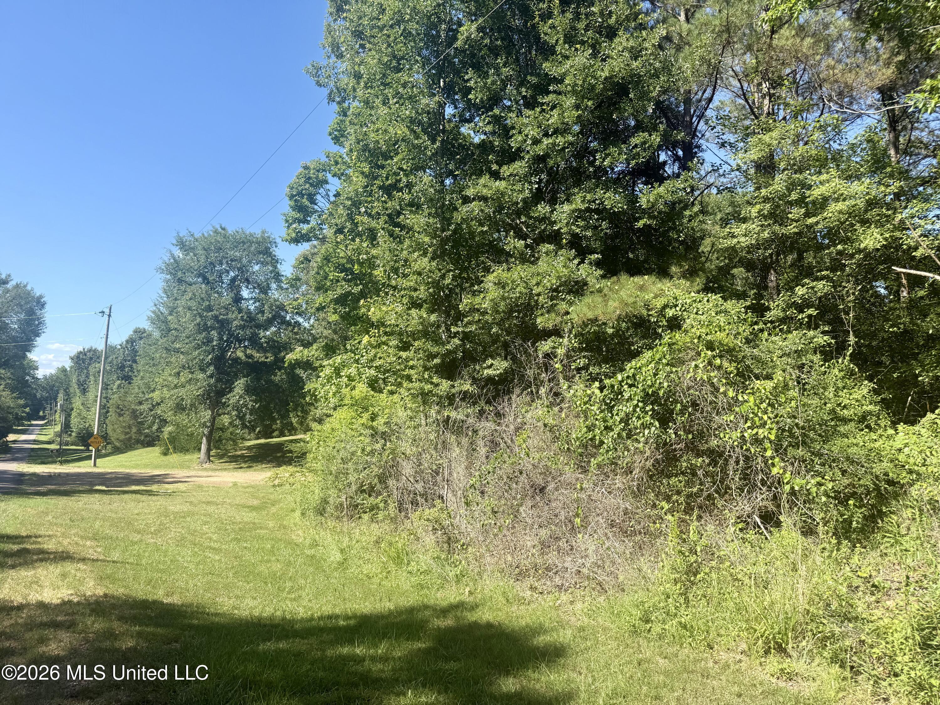 Willow Way Flora, MS 39071 - Photo 6 of 13 IMG_3321