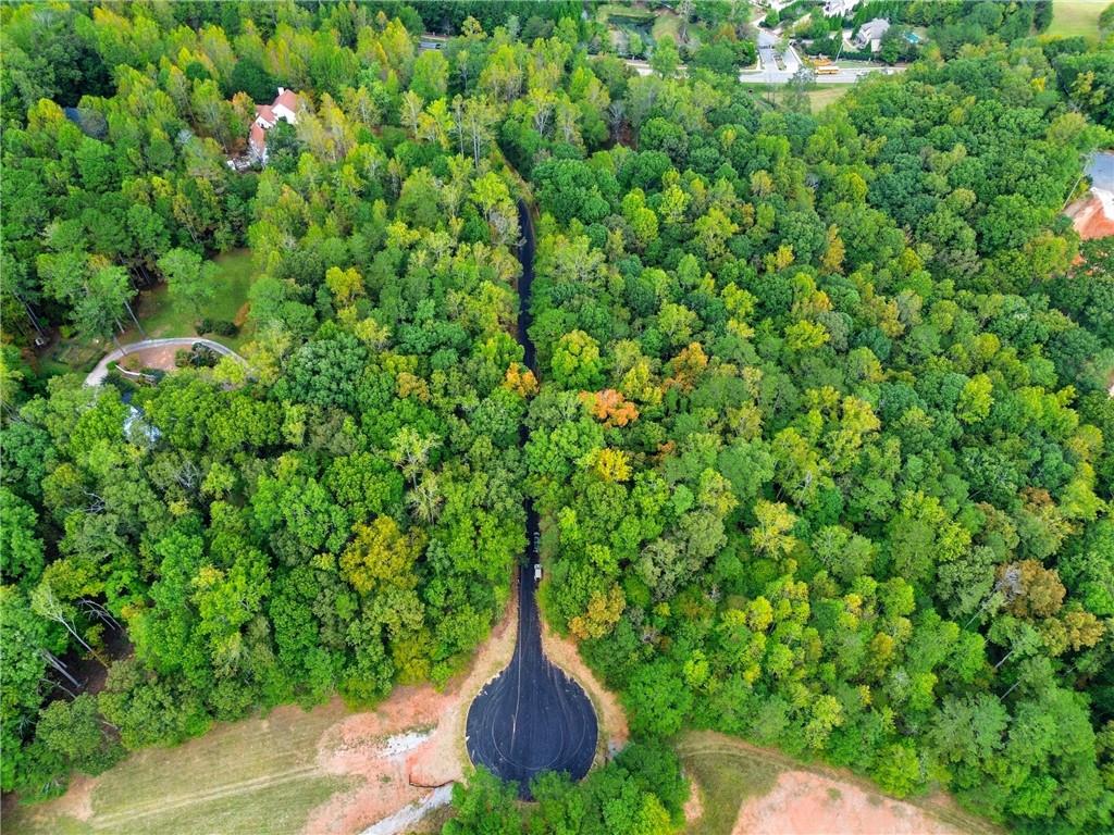 14040 Providence Road Milton, GA 30004 - Photo 17 of 17 a view of a tree in a yard
