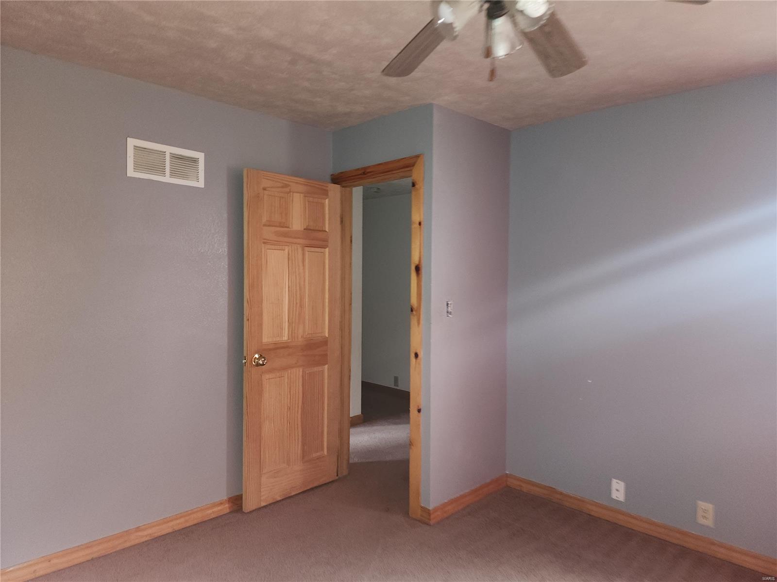 345 East North Street Roodhouse, IL 62082 - Photo 21 of 29