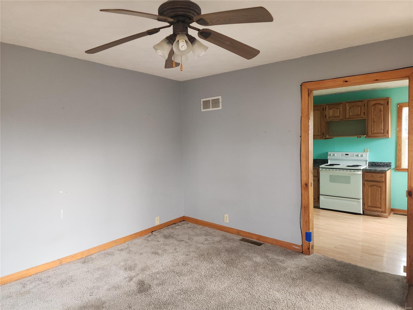 345 East North Street Roodhouse, IL 62082 - Photo 8 of 29