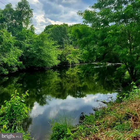 a view of a garden with a tree
