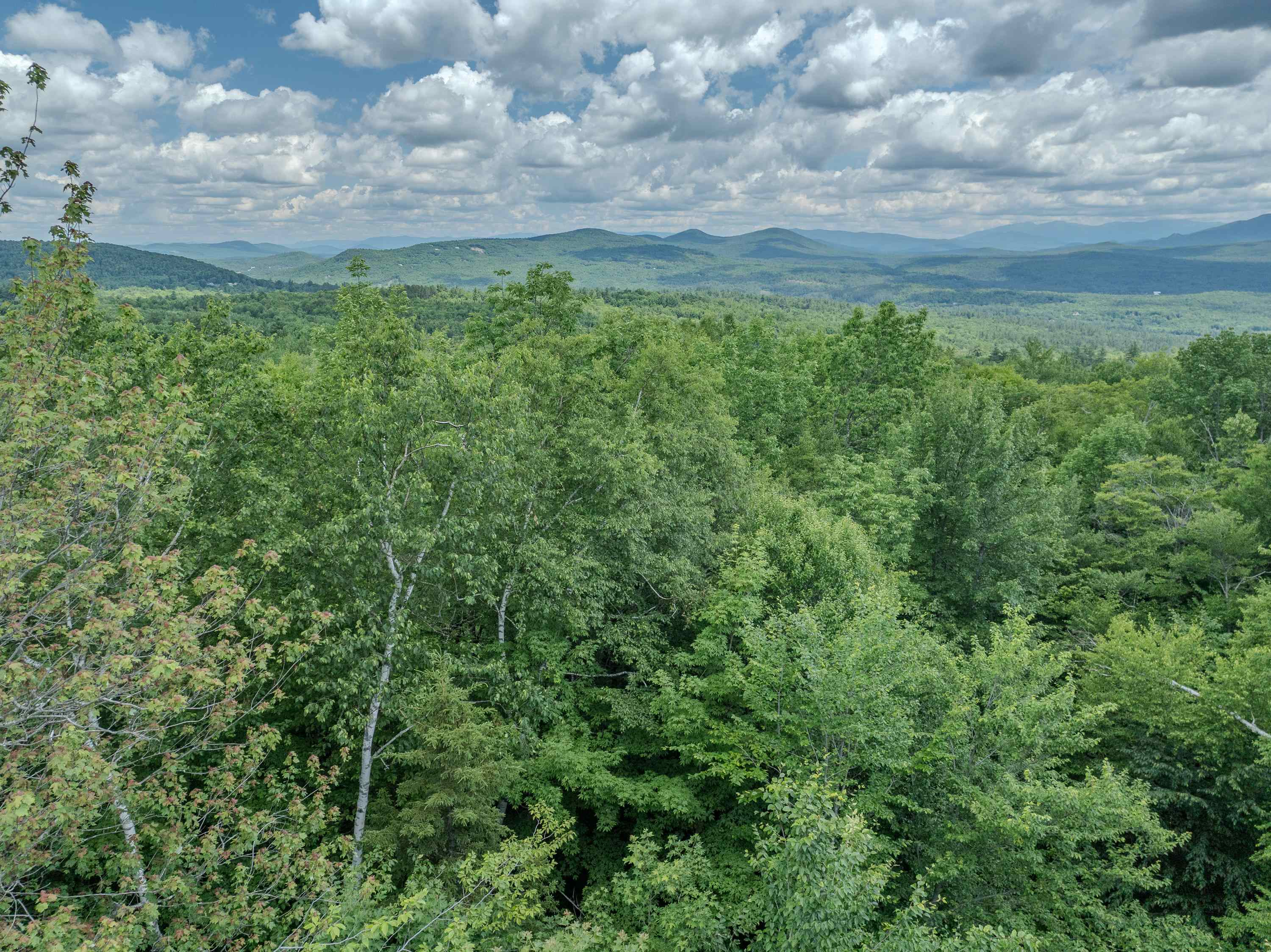 0 Sunset Hill Road Sugar Hill, NH 03586 - Photo 3 of 28 Gallery Image 3