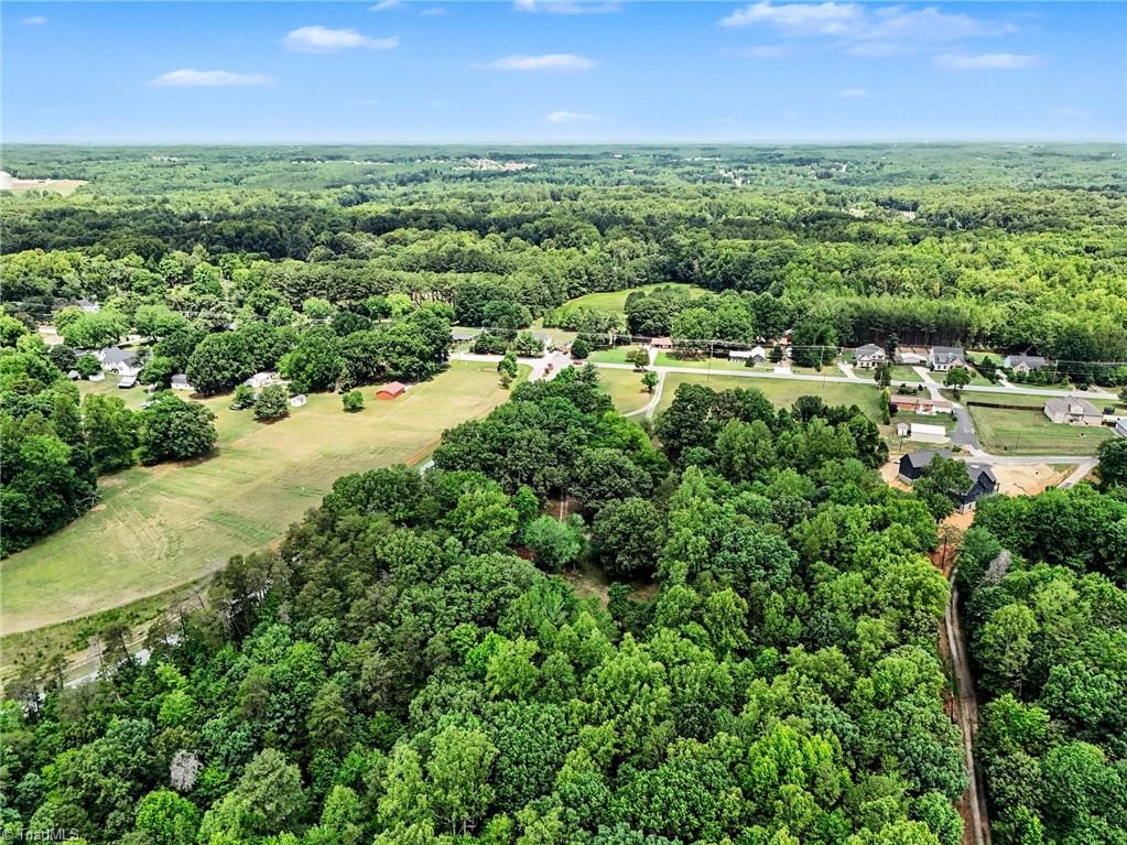 3318 Oak Ridge Road Summerfield, NC 27358 - Photo 48 of 50