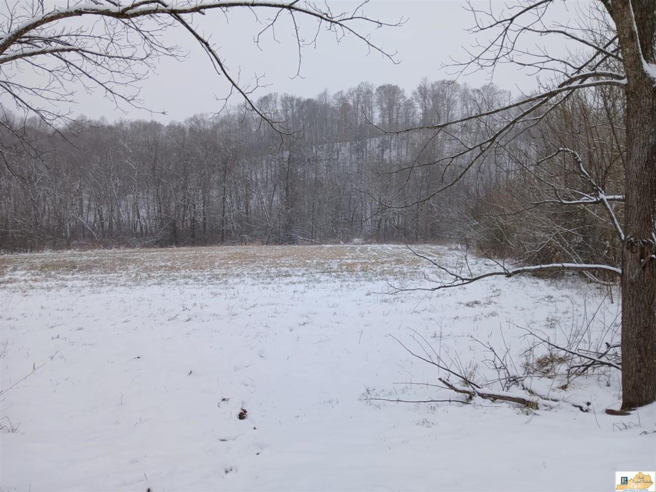 700 Grassy Springs Road Columbia, KY 42728 - Photo 6 of 10 Gallery Image 6