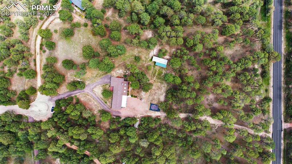 16635 High Tree Drive Elbert, CO 80106 - Photo 41 of 50 a view of a house with a tree