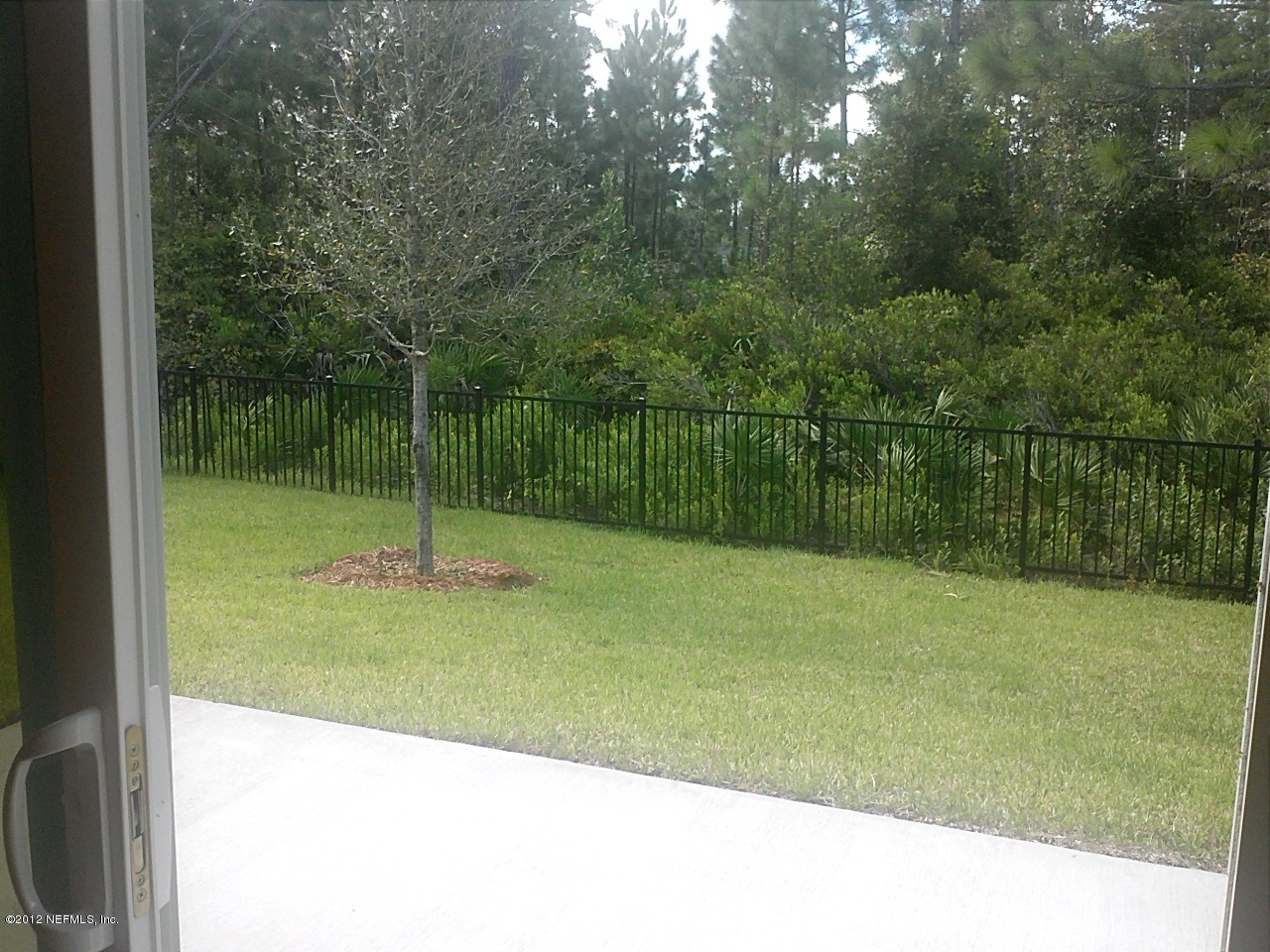77 South Twin Maple Road St. Augustine, FL 32084 - Photo 3 of 35 TL 19 Back Yard
