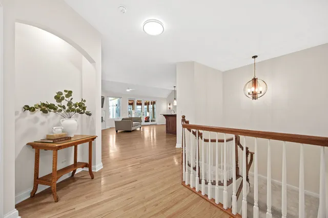 a livingroom with furniture a potted plant and wooden floor