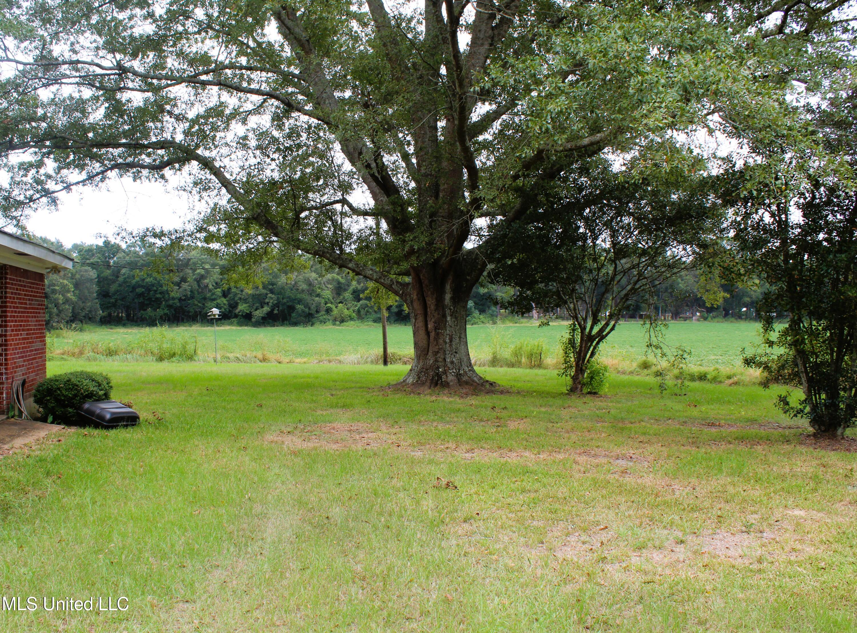 2268 River Road Lucedale, MS 39452 - Photo 17 of 20 IMG_9237
