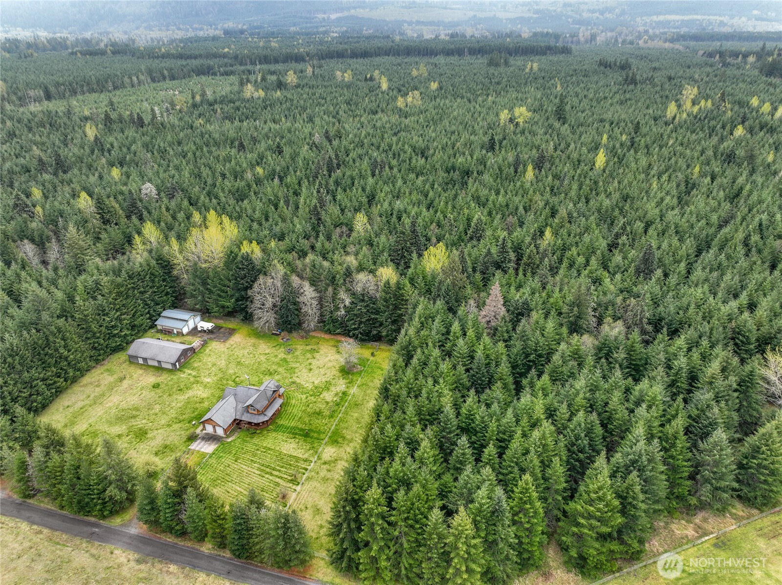 a view of a lush green forest with a house