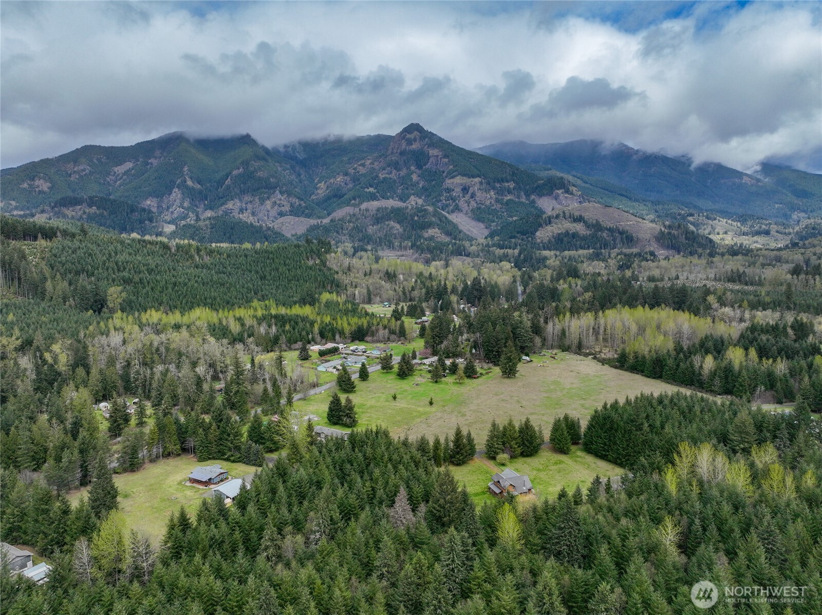 122 Ridge View Drive Randle, WA 98377 - Photo 38 of 40 a view of a lush green hillside and covered with lots of trees
