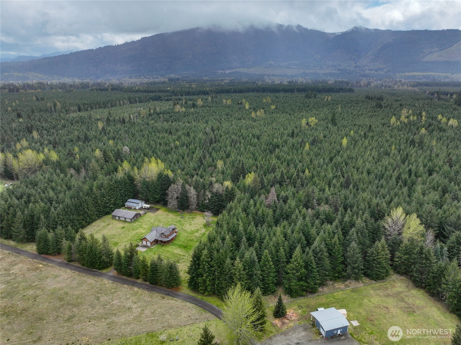 122 Ridge View Drive Randle, WA 98377 - Photo 40 of 40 a view of a back yard