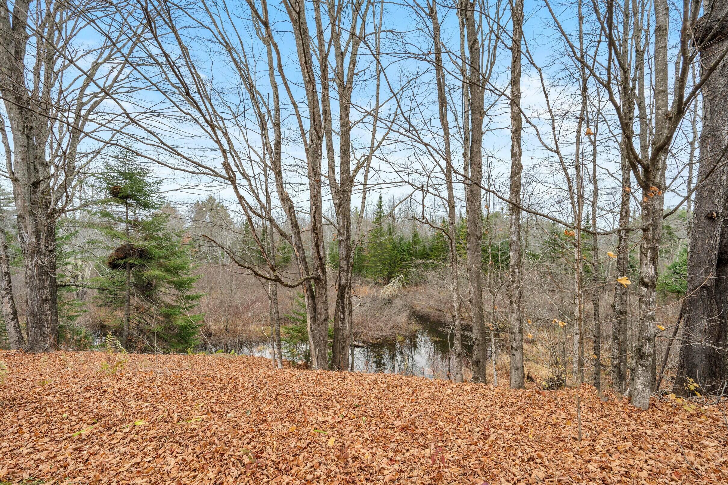 7 Bowzer Lane Skowhegan, ME 04976 - Photo 44 of 68 44-7-Bowzer-Ln-44