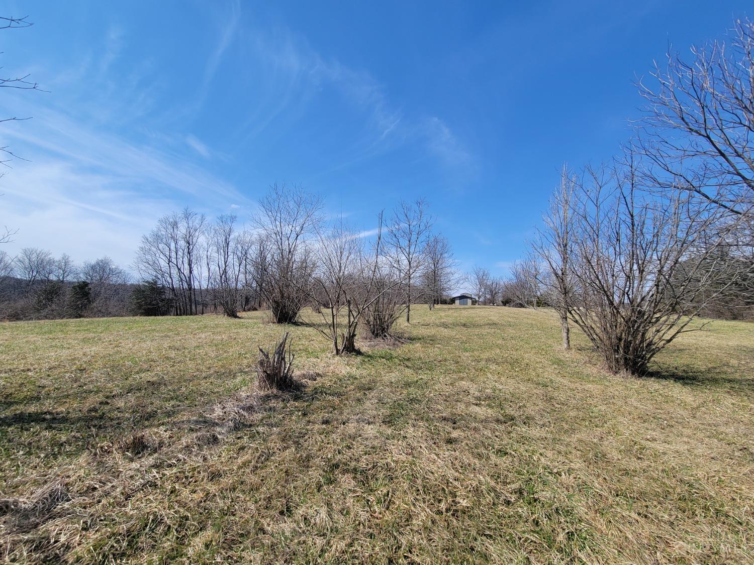 6786 Oak Ridge Road Hillsboro, OH 45133 - Photo 10 of 15