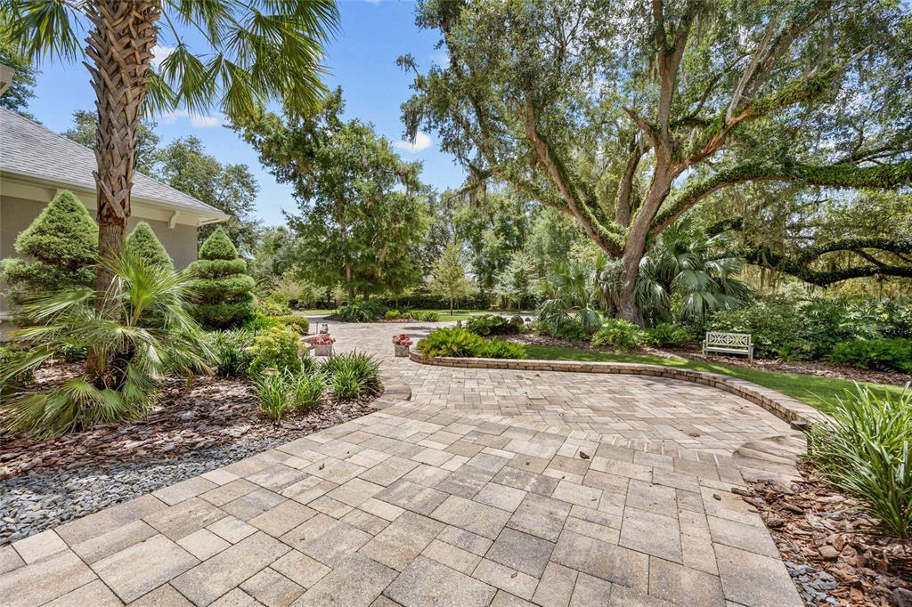 11372 Southwest 30th Avenue Gainesville, FL 32608 - Photo 54 of 71 a view of backyard with plants and trees