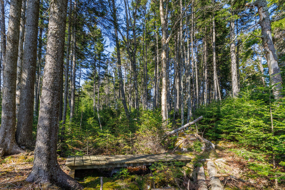 224 Great Cove Road Roque Bluffs, ME 04654 - Photo 99 of 121 110-224 Great Cove Road LoRes-DTP