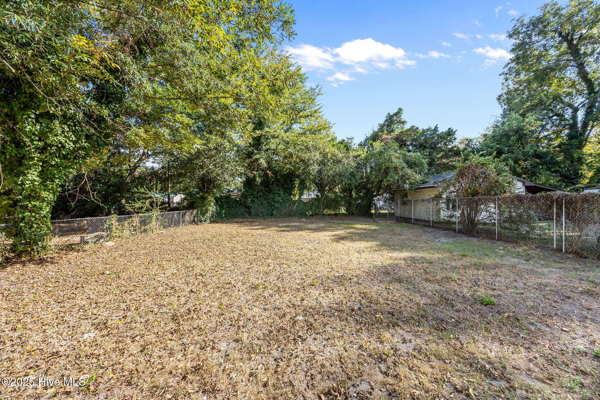 505 West Walnut Street Tarboro, NC 27886 - Photo 18 of 50 50-web-or-mls-IMG_9291