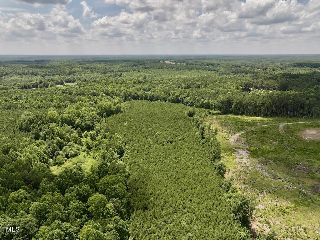 11 Peachtree Hills Road Spring Hope, NC 27882 - Photo 13 of 35 13