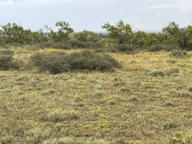 a view of a lake and mountain in the back