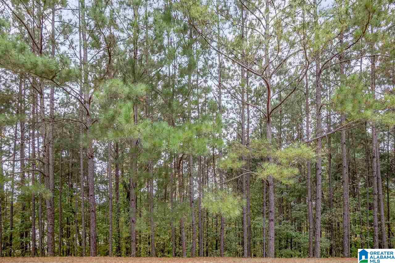 8048 Castlehill Road, Unit 8 Birmingham, AL 35242 - Photo 5 of 12